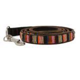 Aspiga Dog Lead - Autumn