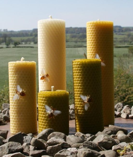 Pillar Beeswax Candles Group - Lune Valley
