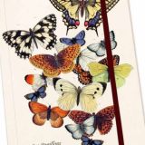 Butterflies Notebook