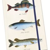 Fishes Notebook