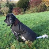 Waxed Barbour Dog Coat