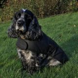 Waxed Barbour Dog Coat