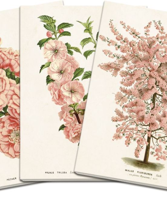 Pink flora Notebook