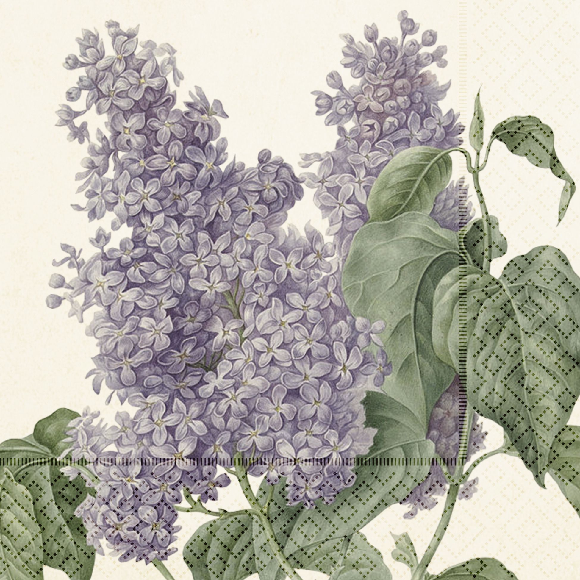 Lilacs design paper napkins from Abrahams Store