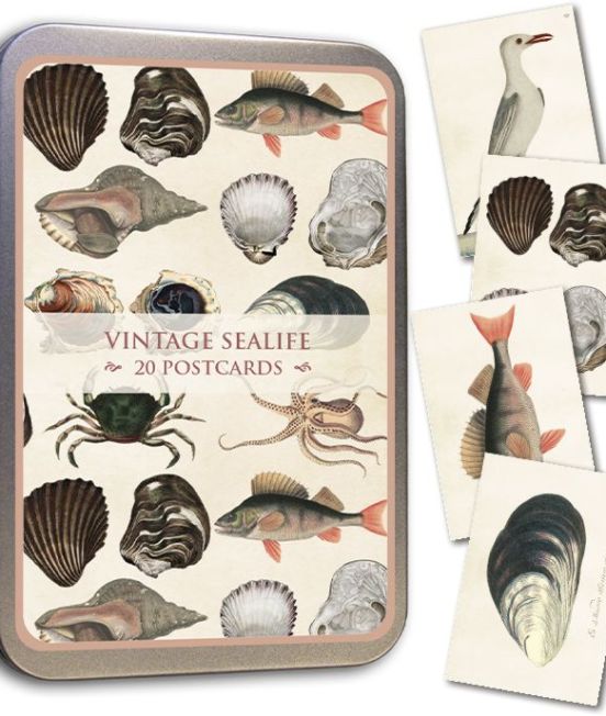 Skona Ting Fishes Postcards