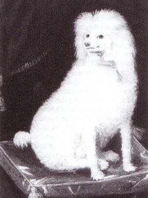 Boye,_Prince_Rupert's_Poodle