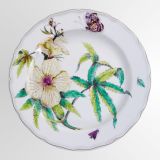 Botanical Plate Design