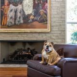 Inside Dog Decor Book