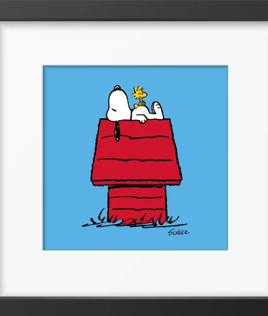 Peanuts & Snoopy Range
