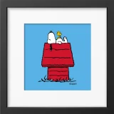 Peanuts & Snoopy Range