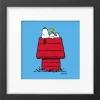 Peanuts & Snoopy Range