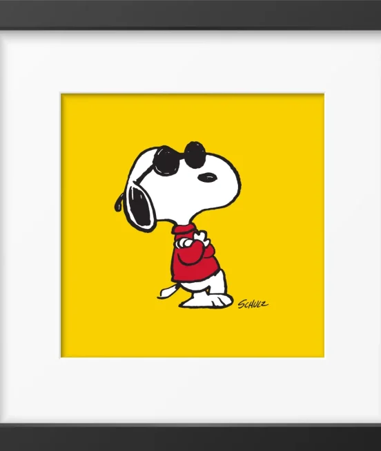Peanuts & Snoopy Range