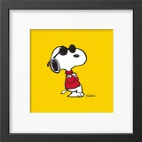 Peanuts & Snoopy Range