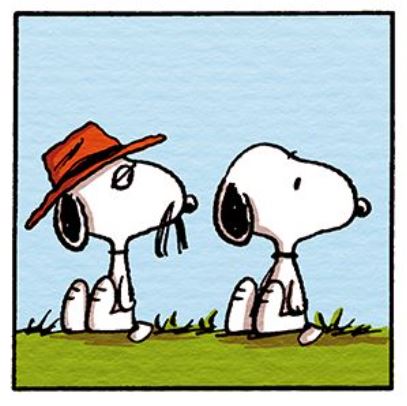 Snoopy and Spike