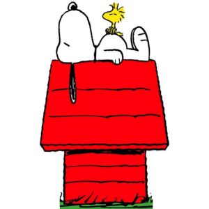 Peanuts Snoopy
