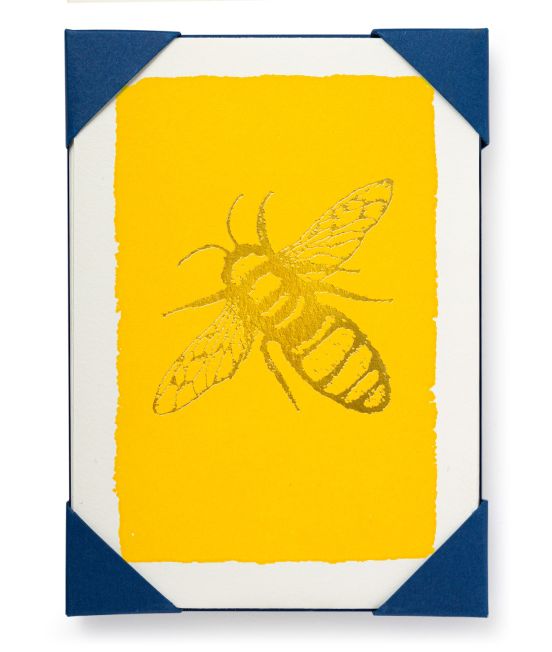 Archivist Note Cards