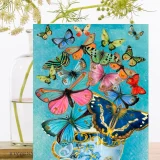 Madam Treacle
  Card