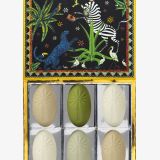Jungle Soap