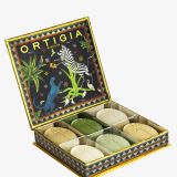 Jungle Soap