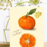 Madam Treacle
  Card