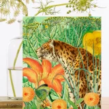 Madam Treacle
  Card