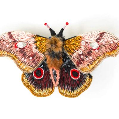 Trovelore Brooches Emperor Mopane Moth-£60